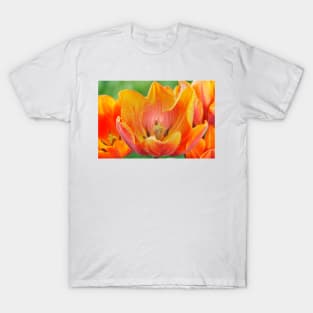 Tulipa 'Prinses Irene' AGM Tulip Triumph Group  Artistic filter applied to photo T-Shirt